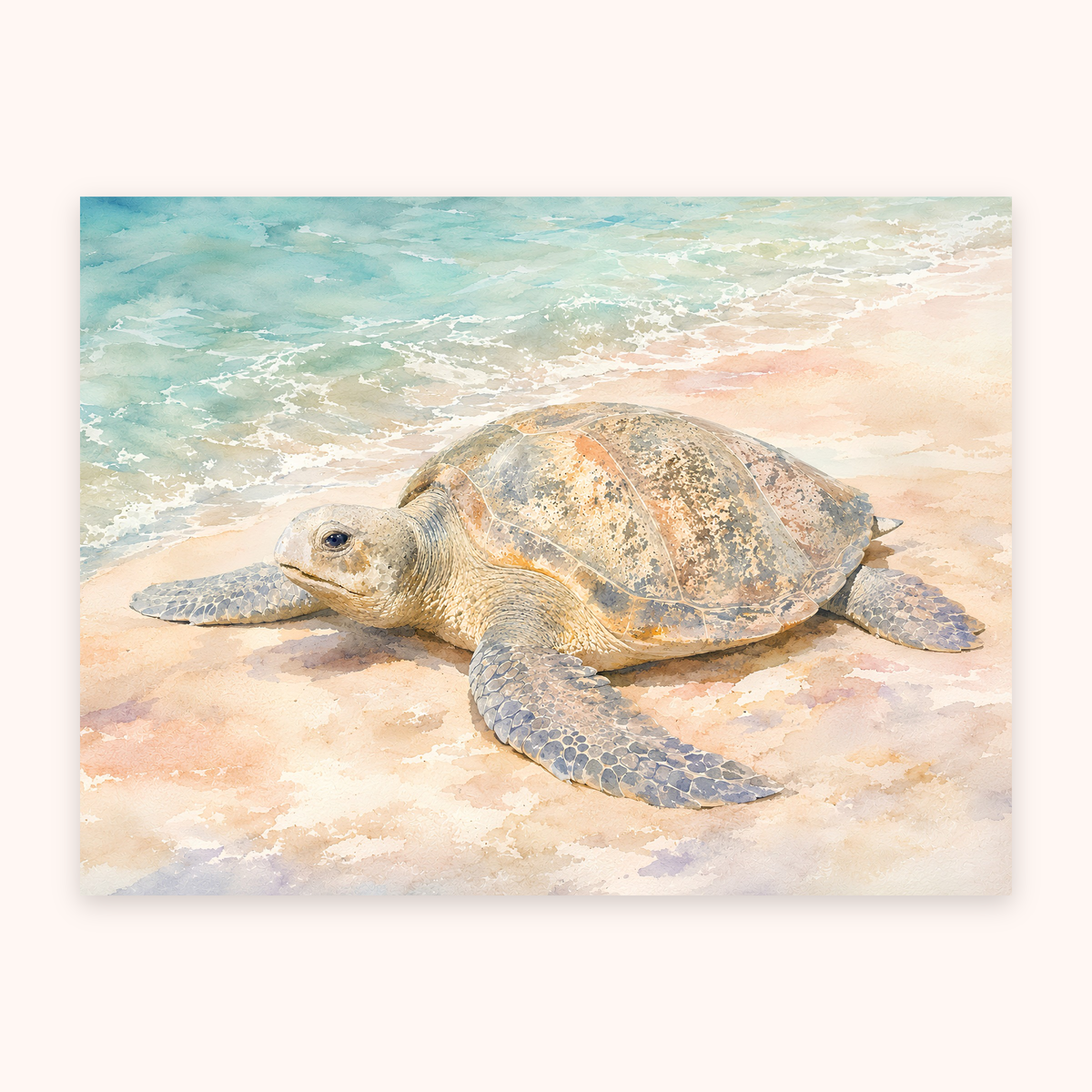 Australian sea turtle fine art print in a soft coastal watercolour style