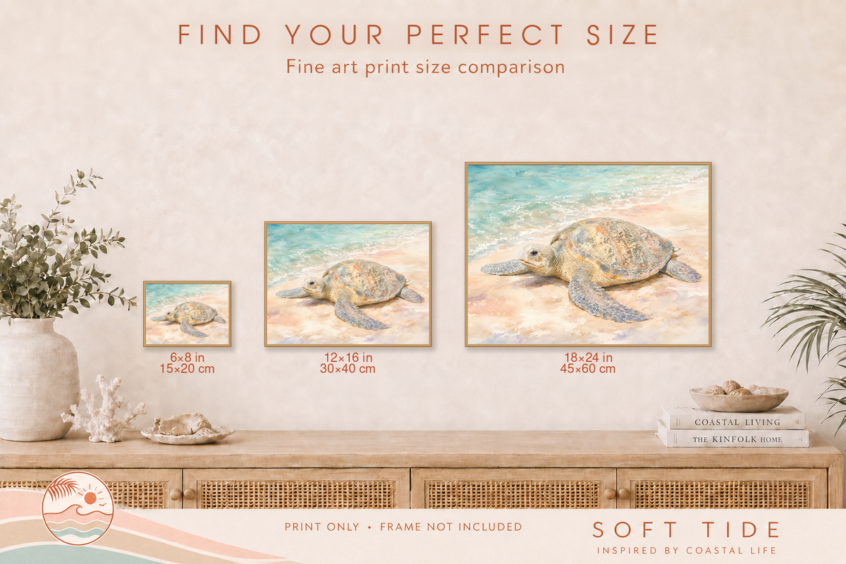 Australian sea turtle fine art print size comparison showing 6 × 8, 12 × 16 and 18 × 24 inch options