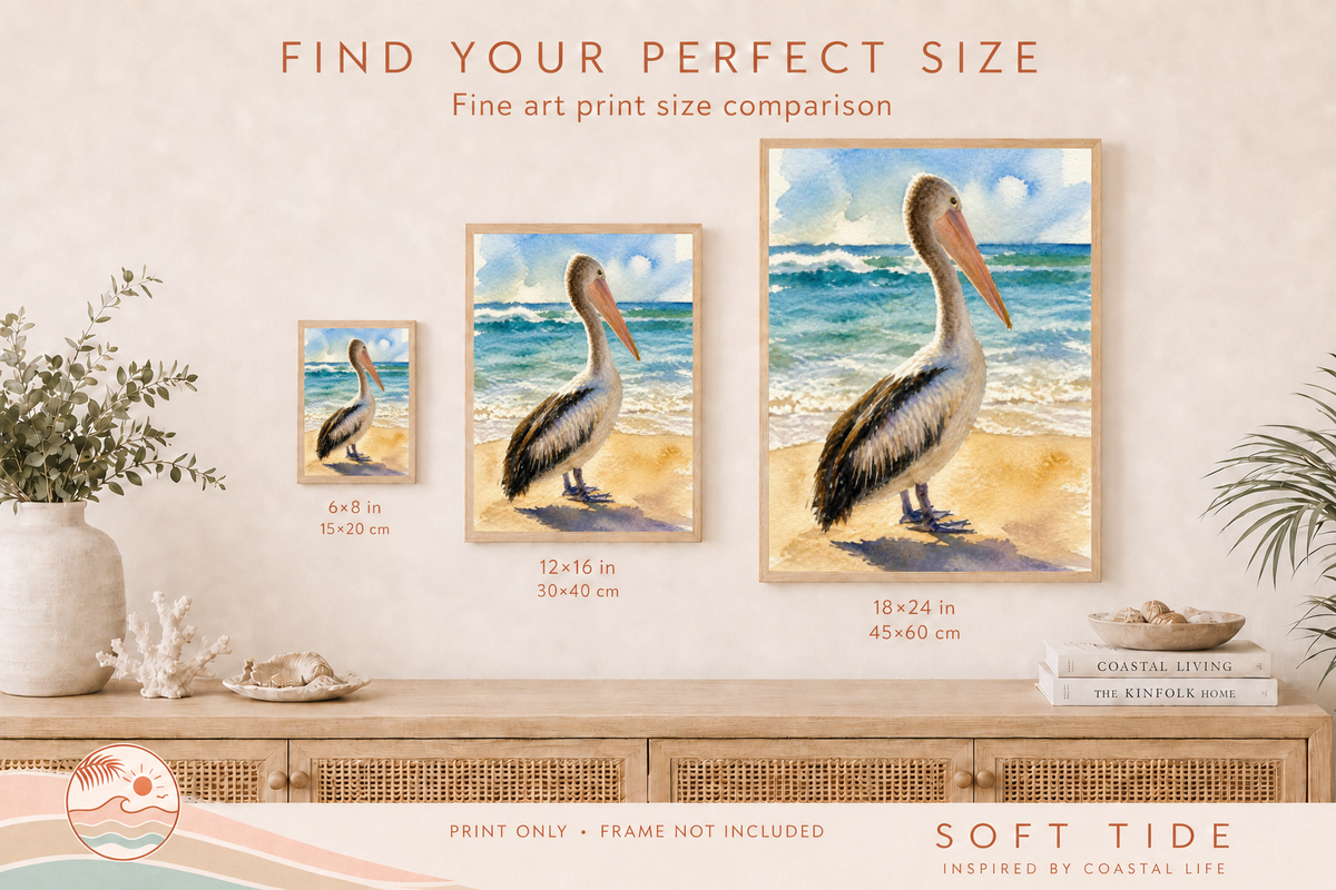 Pelican fine art print size and 3:4 ratio guide