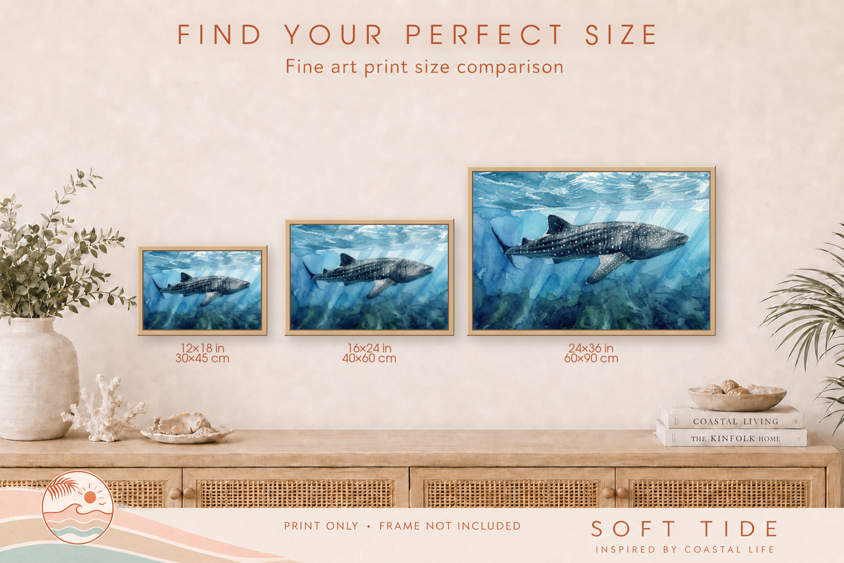 Whale shark fine art print size comparison showing 30 × 45 cm, 40 × 60 cm and 60 × 90 cm