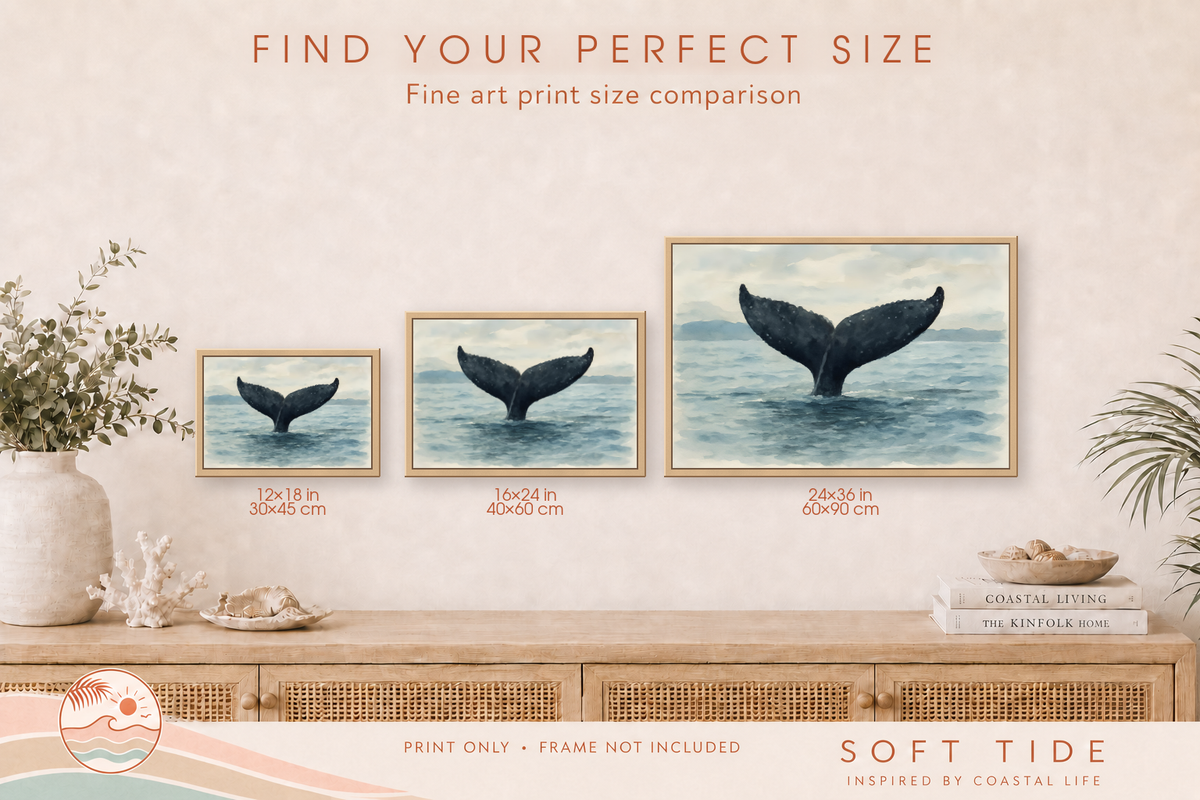 Whale tail fine art print size comparison showing 12 × 18, 16 × 24 and 24 × 36 inch options